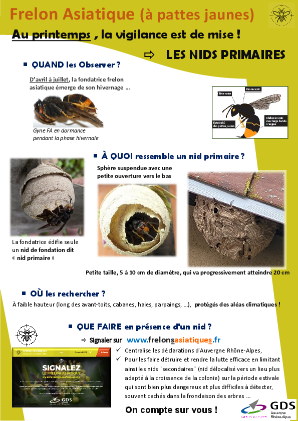Agrandir l'image 1
